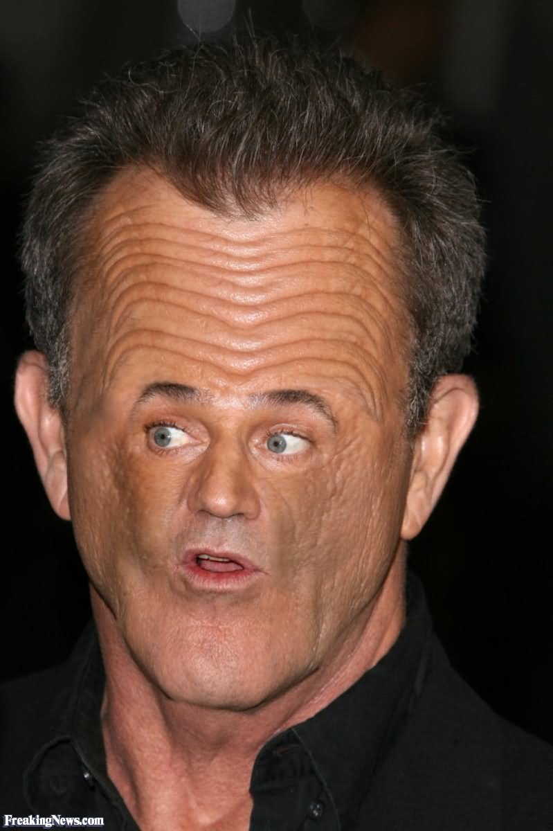 Mel Gibson With Photoshopped Tiny Face Funny Picture