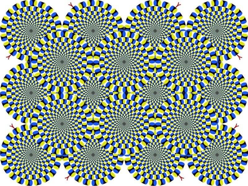 Mind Blowing Optical Illusion Picture