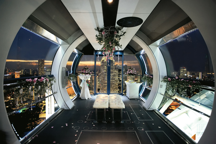 Night Singapore Flyer Capsule Inside View