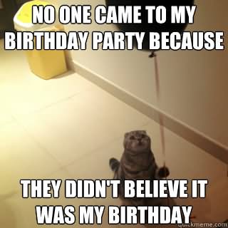 No One Came To Birthday Party Because Funny Cat Meme Image