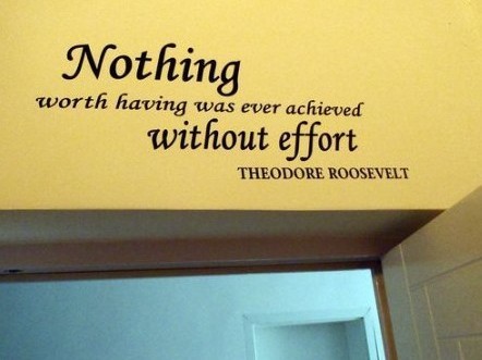 Nothing worth having was ever achieved without effort  - Theodore Roosevelt