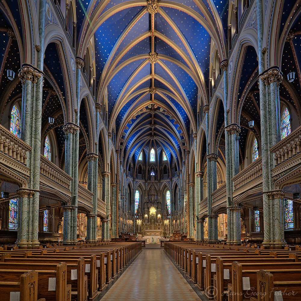 Notre Dame de Paris Cathedral Interior Picture
