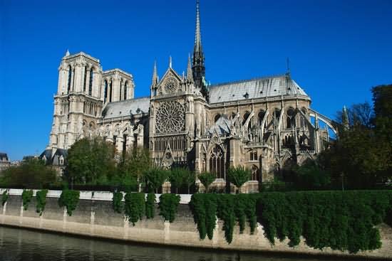 Notre Dame de Paris Image