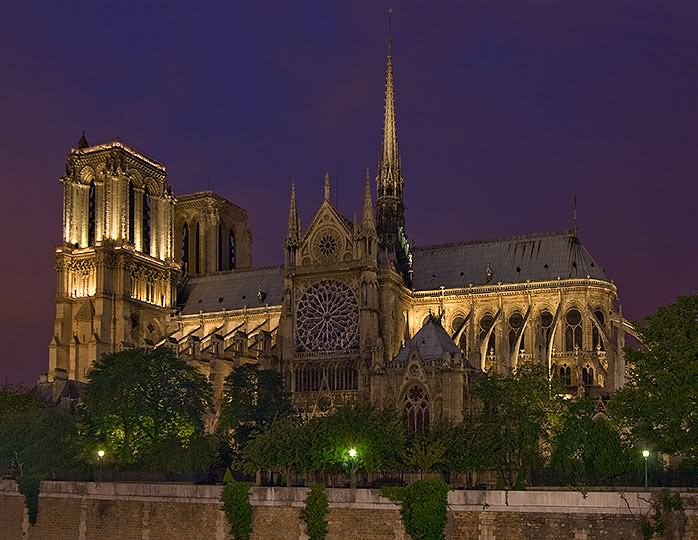 Notre Dame de Paris South Side At Night