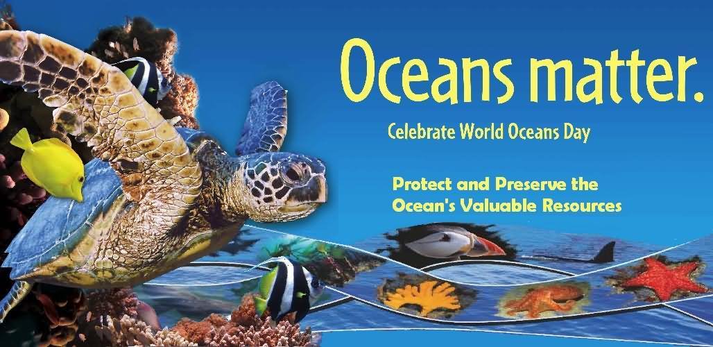 Oceans Matter Celebrate World Oceans Day Poster