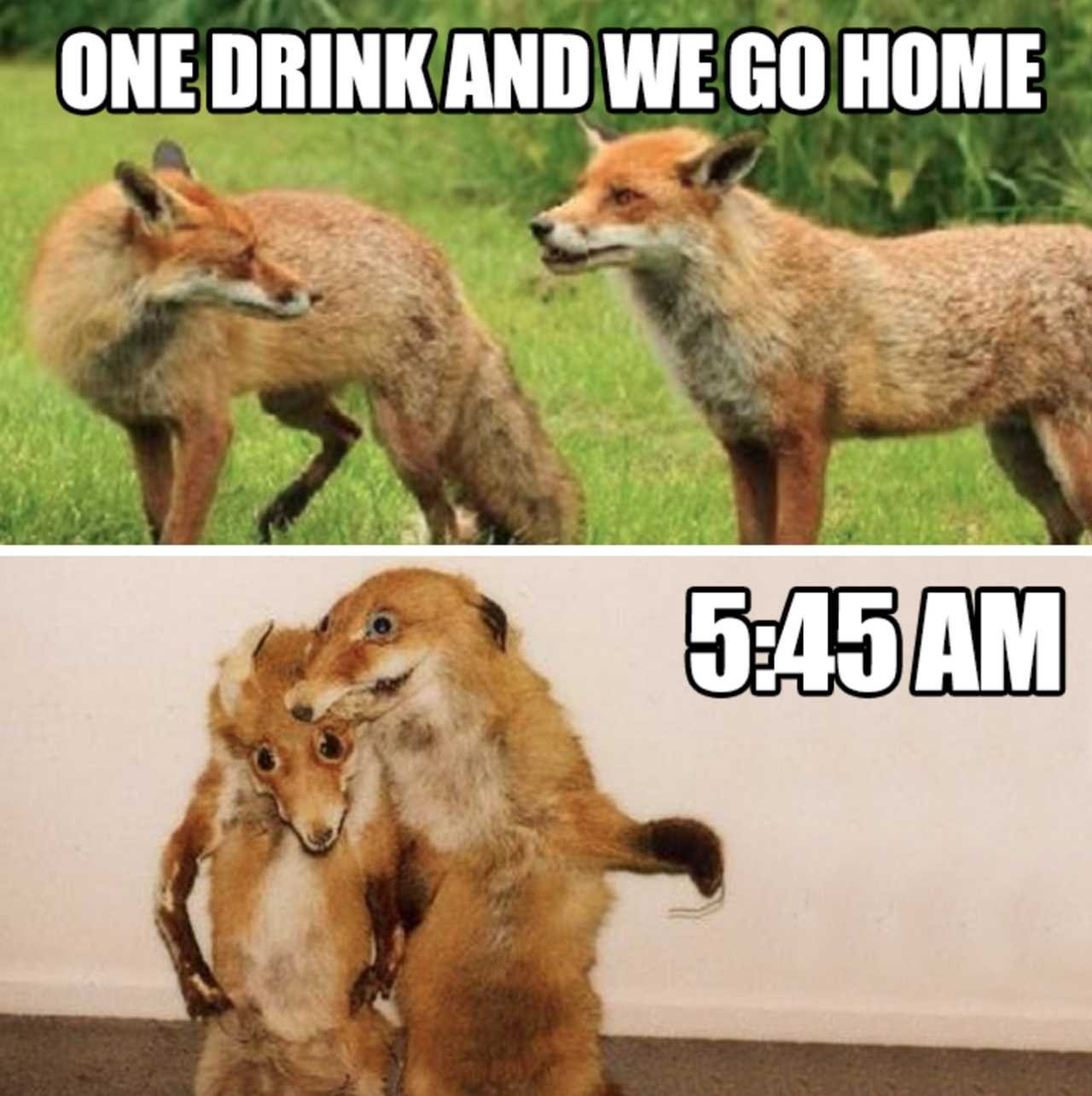 One Drink And We Go Home Funny Alcohol Animal Meme Image