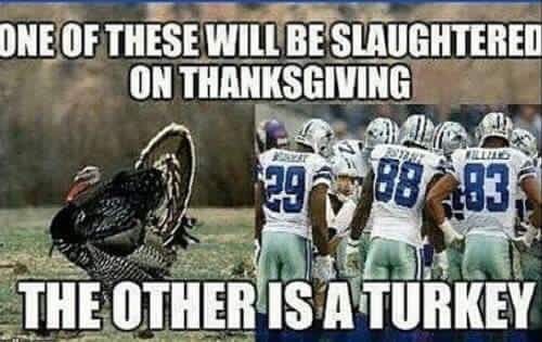 One Of These Will Be Slaughtered On Thanksgiving Funny Meme Image
