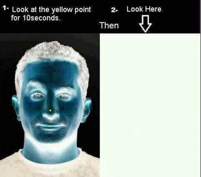 Optical Illusion Face Picture