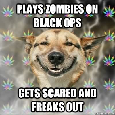 Plays Zombies Ops Funny Meme Image