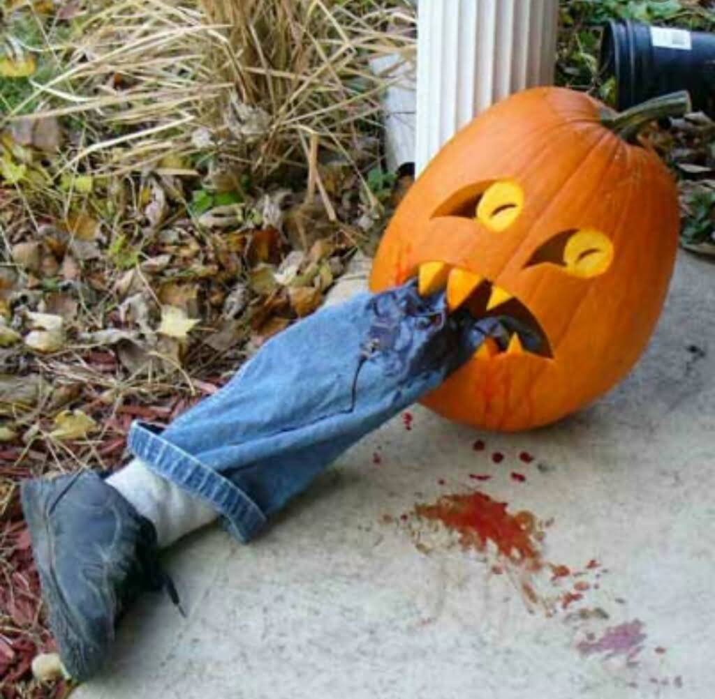 Pumpkin Eating Leg Funny Halloween Picture
