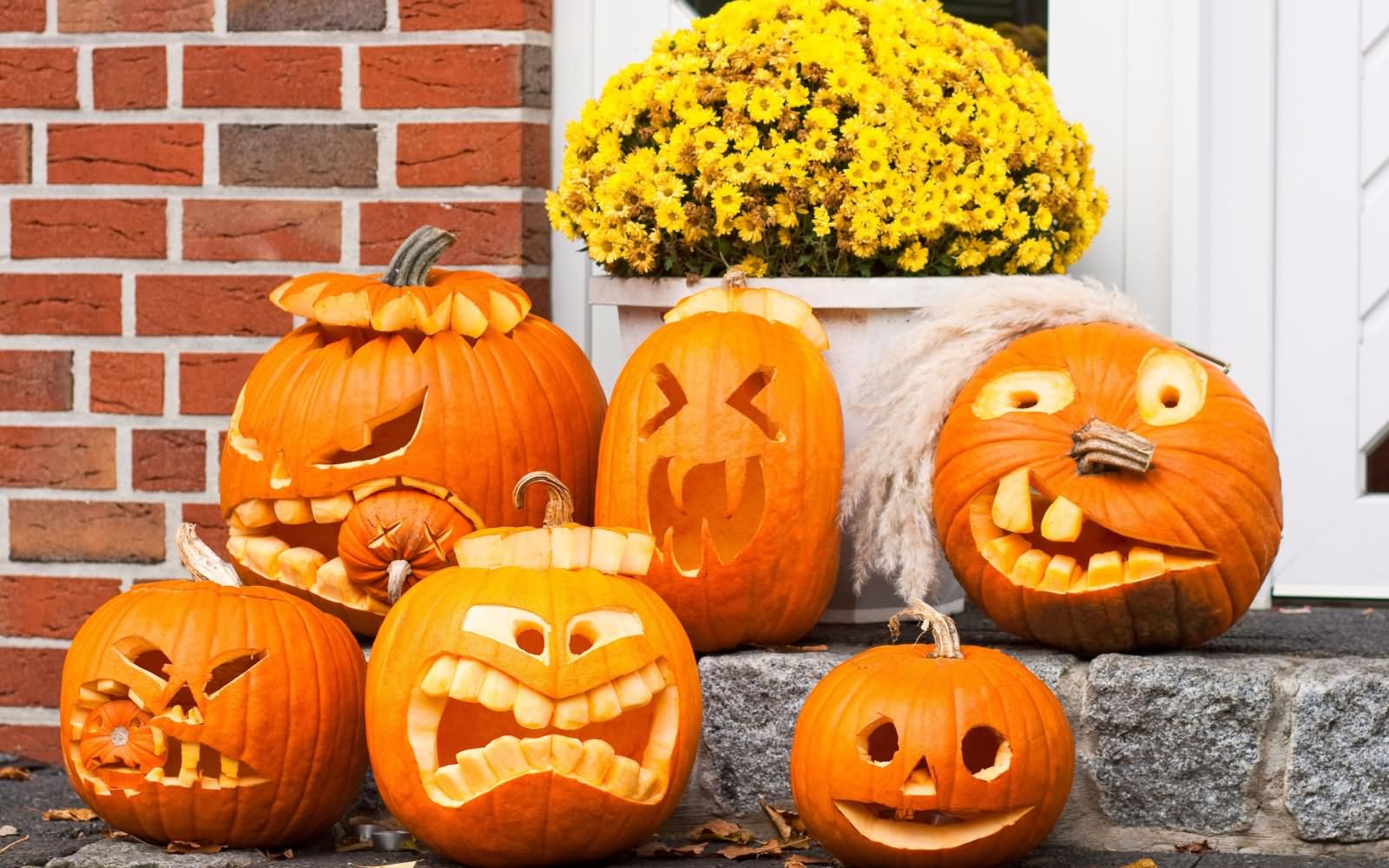 Pumpkins Funny Faces Halloween Photo