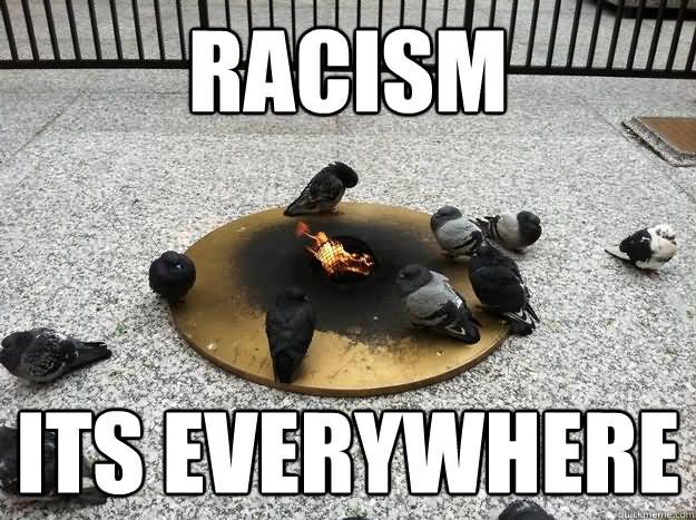 Racism Its Everywhere Funny Bird Meme Picture
