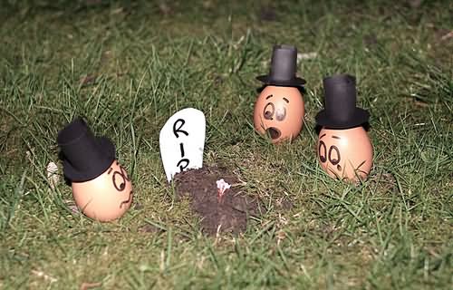 Sad Faces Eggs In Graveyard Funny Picture