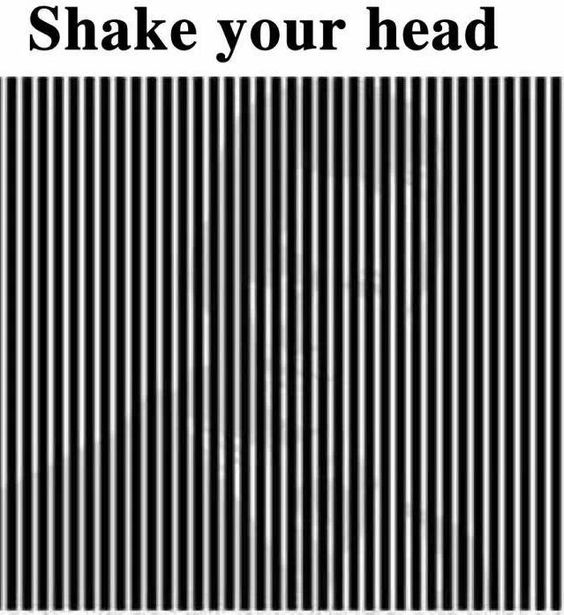 Shake Your Head Optical Illusion