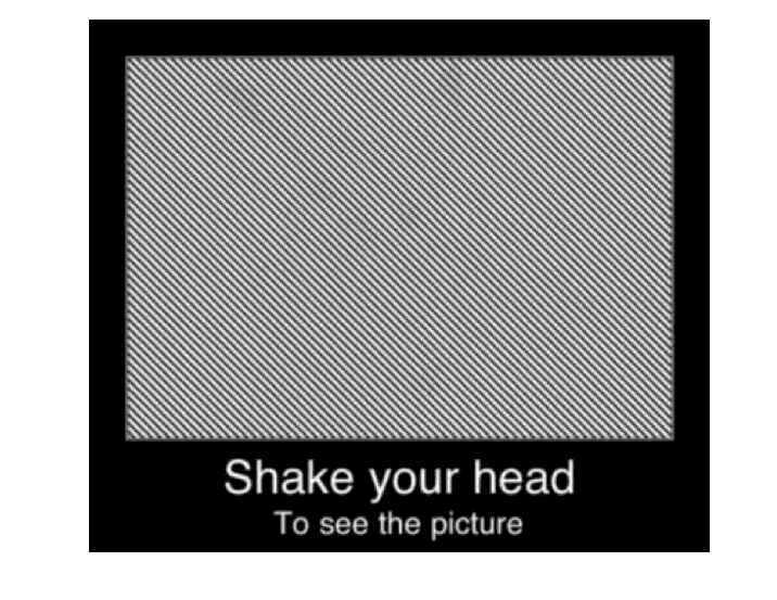 Shake Your Head To See The Picture Optical Illusion