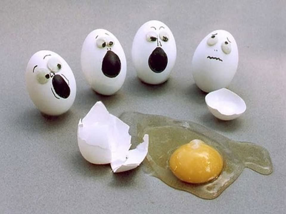 Shocked Faces To See Cracked Egg Funny Picture