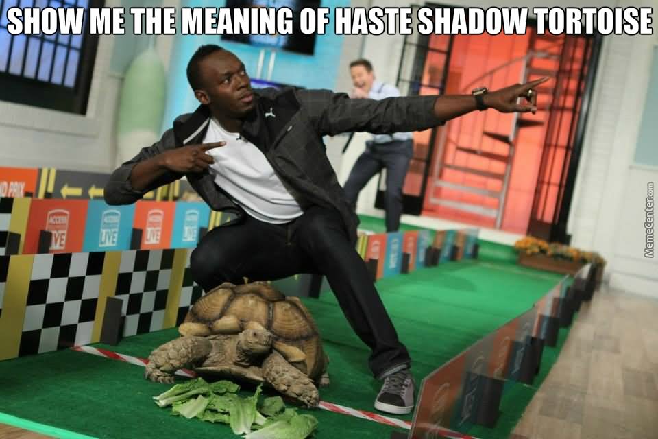 Show Me The Meaning Of Haste Shadow Tortoise Funny Meme Picture