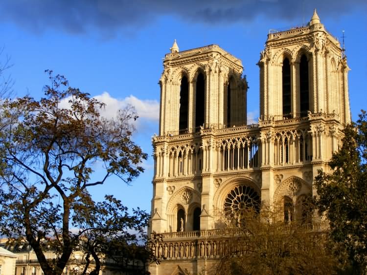 Side View Image Of Notre Dame de Paris