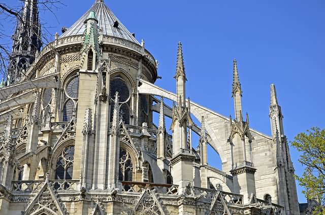 Side View Notre Dame de Paris Flying Buttresses Picture