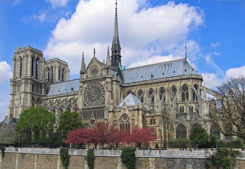 Side View Of Notre Dame de Paris