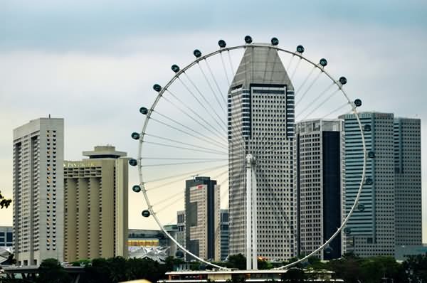 Singapore Flyer And City Buildings Picture