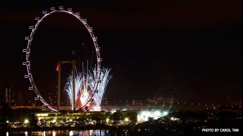 Singapore Flyer And Fireworks Picture