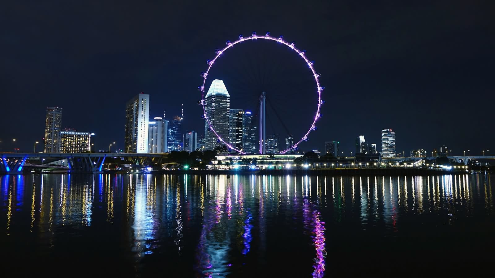 Singapore Flyer Night Picture