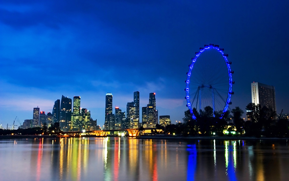 Singapore Flyer Night View Picture