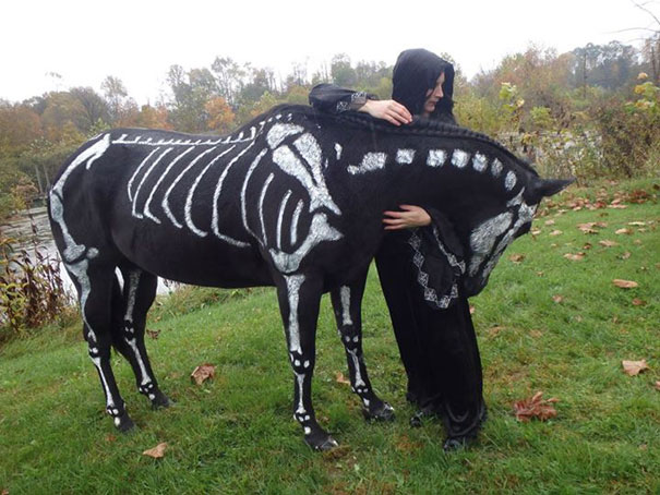 Skeleton Horse Funny Halloween Animal Picture For Whatsapp