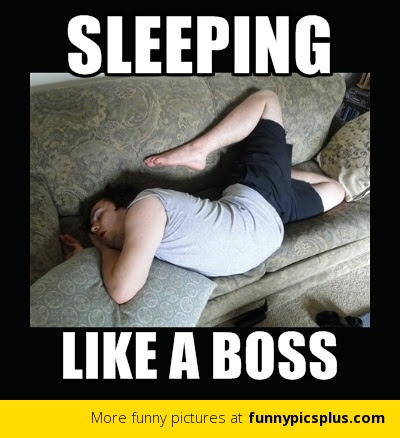 Sleeping Like A Boss Funny Image