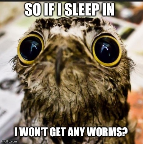 So If I Sleep In I Won't Get Any Worms Funny Meme Image