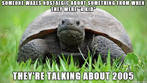 Someone Waxes Nostalgic About Something From When They Were A Kid Funny Tortoise Meme Image