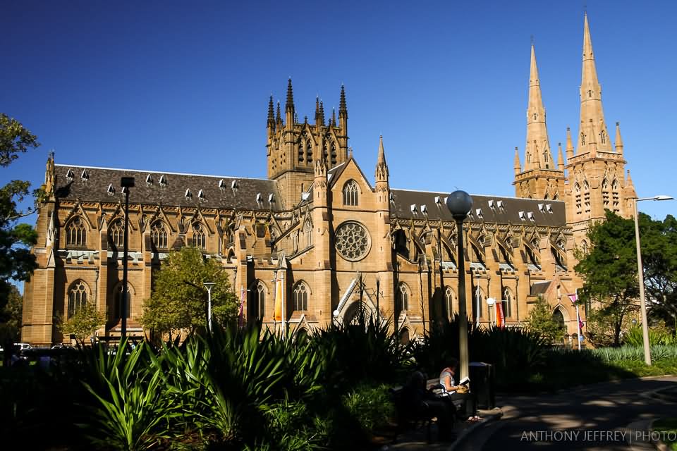 St. Mary's Cathedral, Sydney Picture
