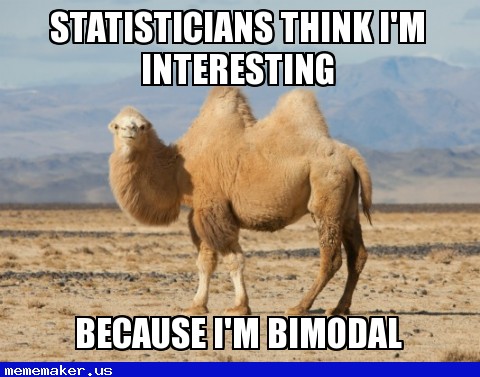 Statisticians Think I Am Interesting Because I Am Bimodal Funny Camel Meme Image