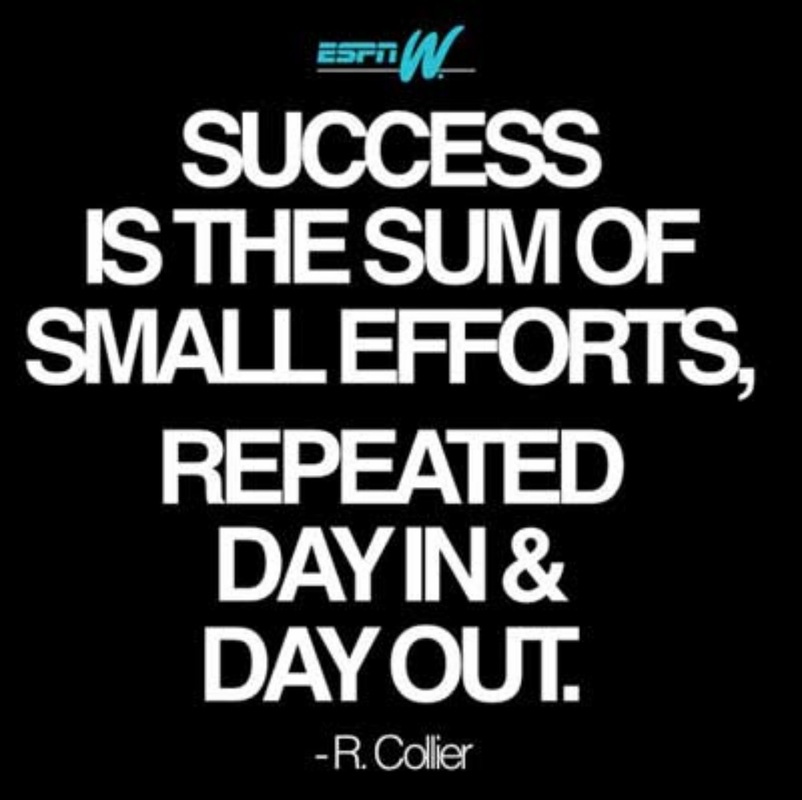 Success is the sum of small efforts, repeated day in & day out  - R. Collier