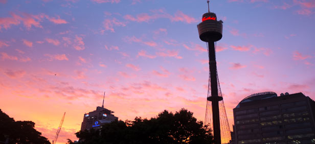 Sunset View Of Sydney Tower