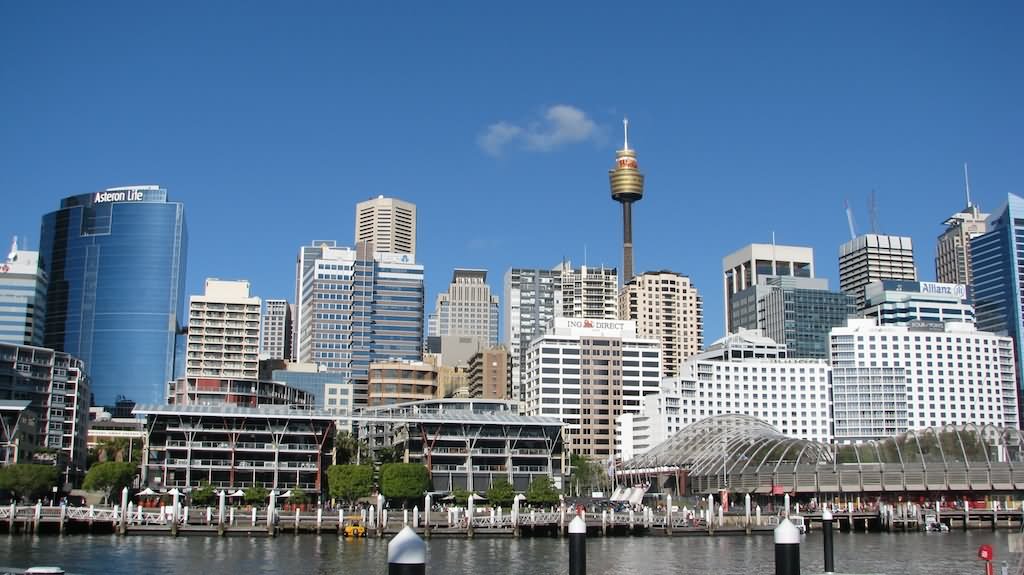 Sydney Tower From Darling Harbour