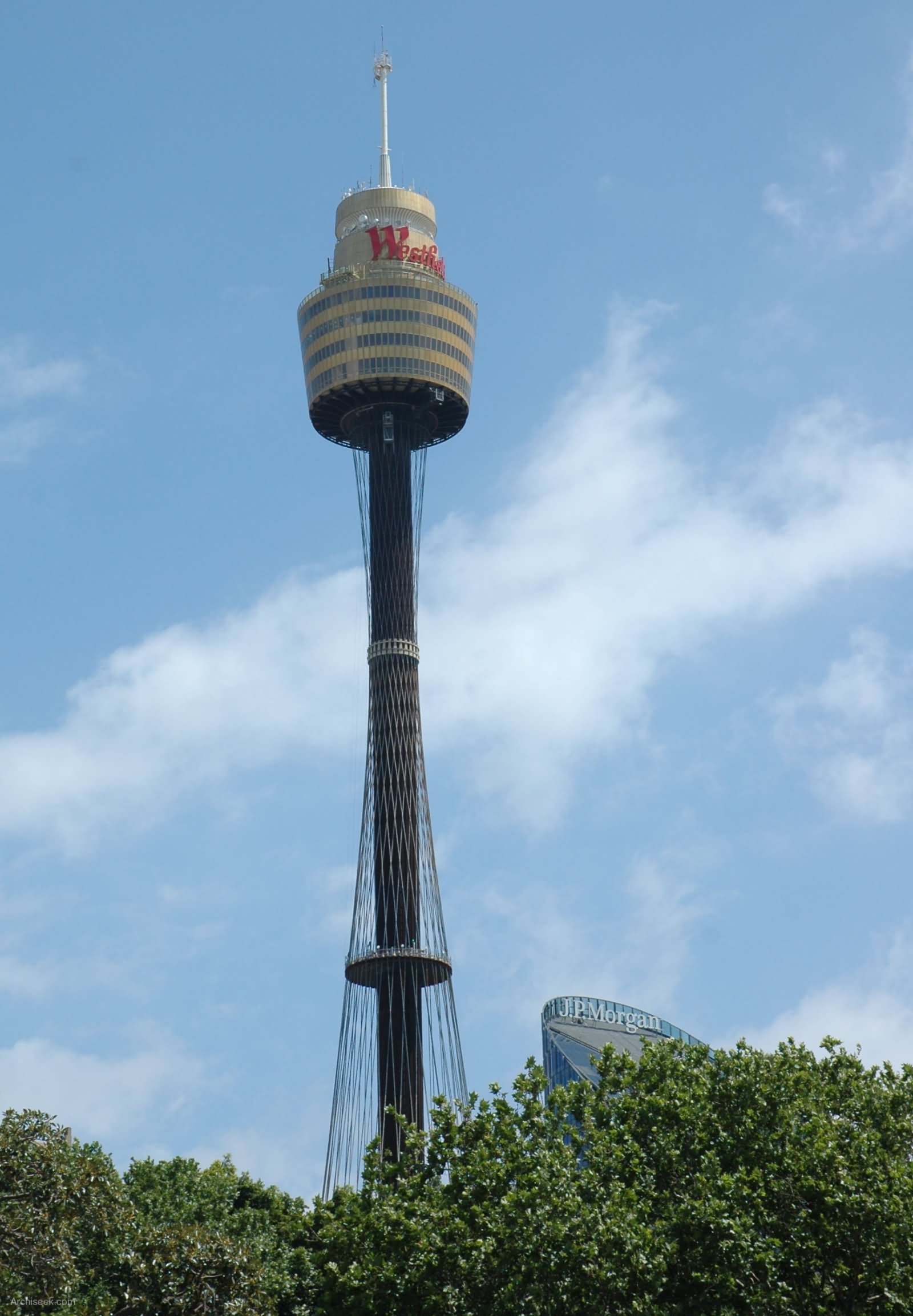 Sydney Tower Is Sydney's Tallest Free Structure