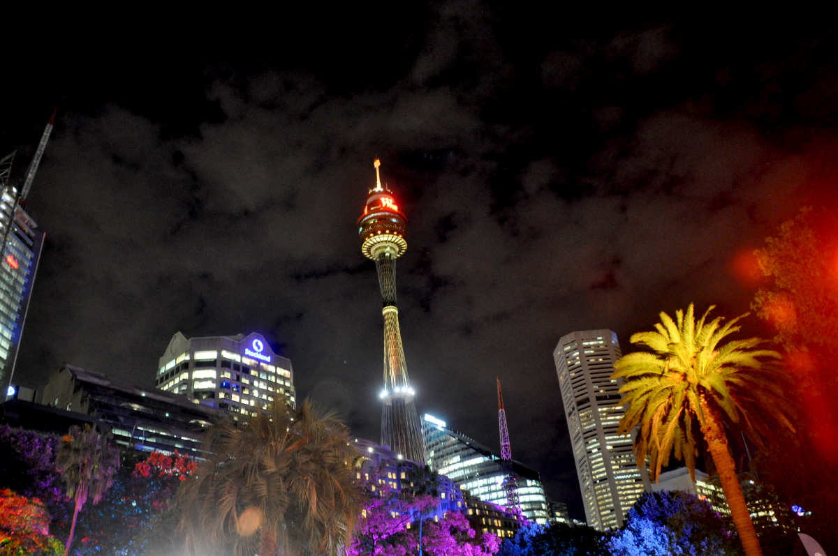 Sydney Tower Night View Image