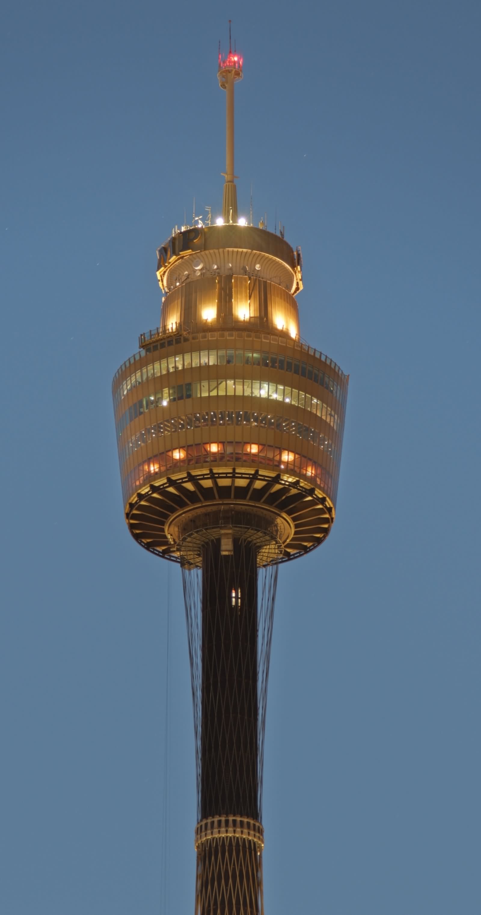 Sydney Tower Picture