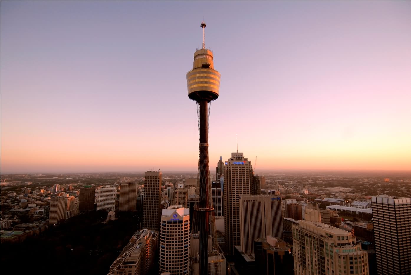 Sydney Tower Sunset View Picture