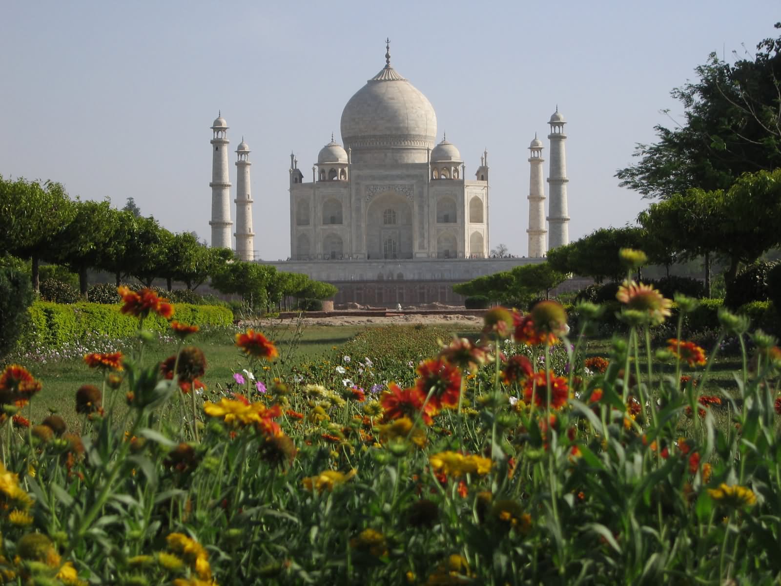 Taj Mahal Garden Picture