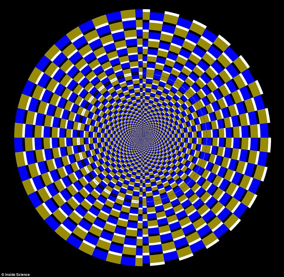 Take A Look At The Center Of The Image Optical Illusion Picture