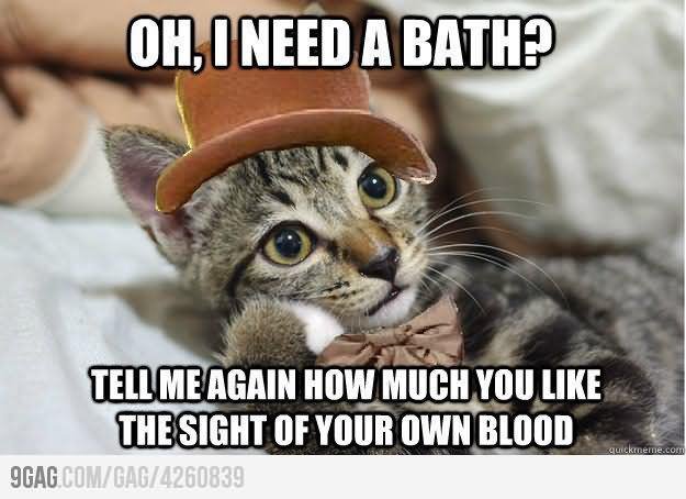 Tell Me Again How Much You Like The Sight Of Your Own Blood Funny Cat Meme Image