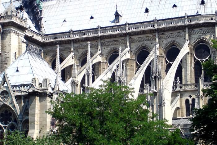 The Flying Buttresses Of Notre Dame de Paris