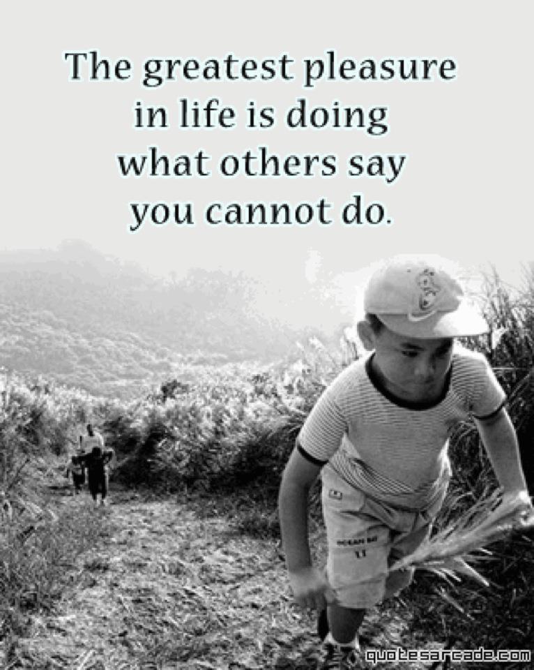 The greatest pleasure in life is doing what others say you cannot do.