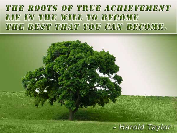The roots of true achievement lie in the will to become the best that you can become.  - Harold Taylor