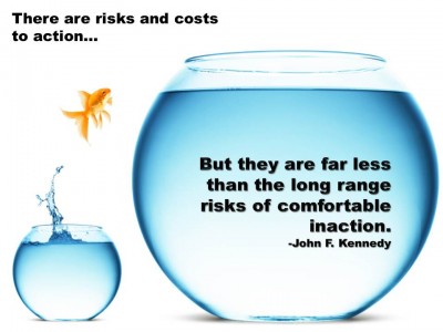There are risks and costs to action. But they are far less than the long range risks of comfortable inaction. - John F. Kennedy
