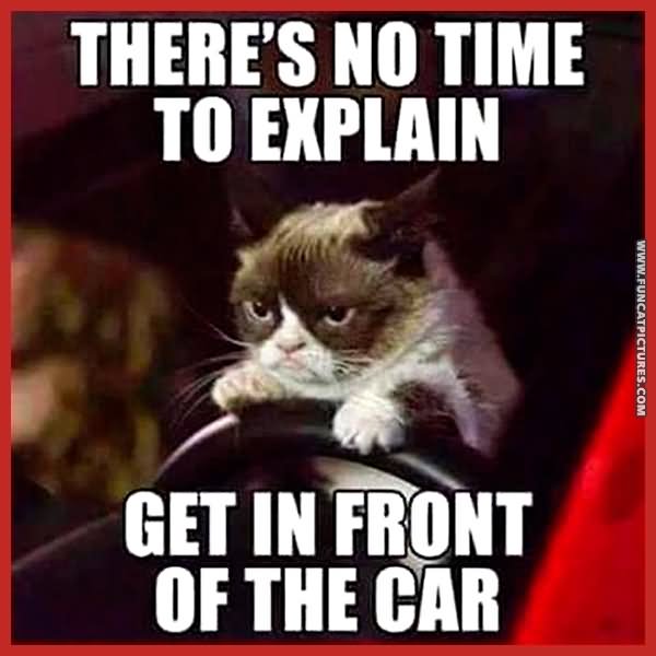 There's No Time To Explain Funny Cat Meme Photo