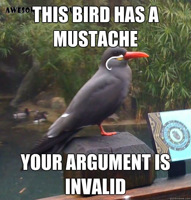 This Bird Has A Mustache Funny Bird Meme Picture
